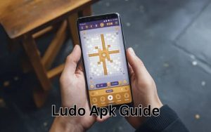 ludo apk guide