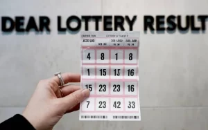 dear lottery result